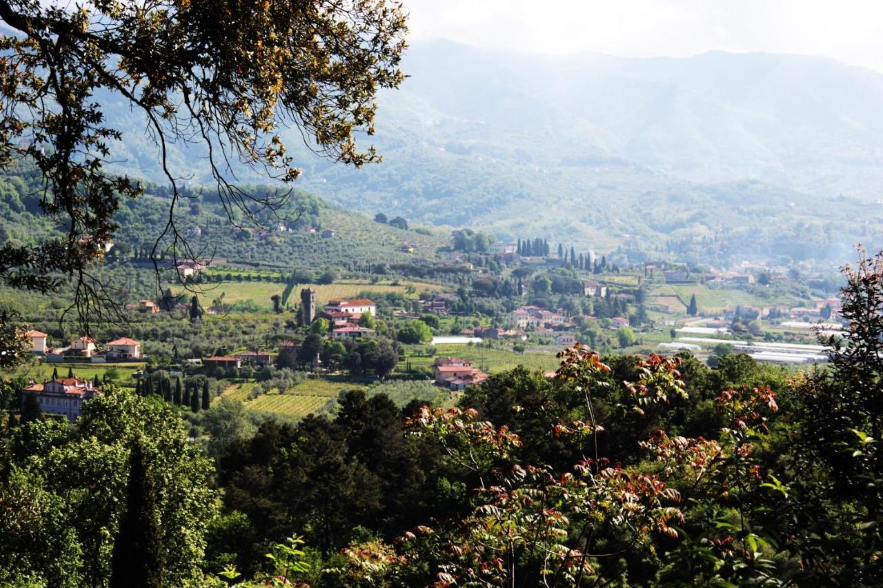 Country house Pedone Lucca